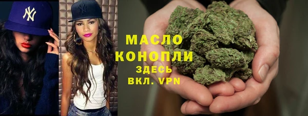 ешки Медногорск