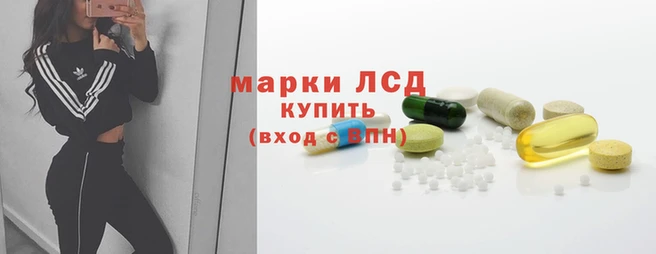 дурь Магас