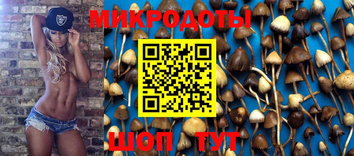 Галлюциногенные грибы GOLDEN TEACHER  Вход с VPN  Братск  Галлюциногенные грибы прущие грибы 