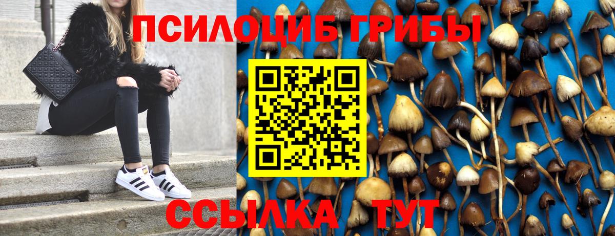 Псилоцибиновые грибы Magic Shrooms  Братск  Псилоцибиновые грибы Magic Shrooms 